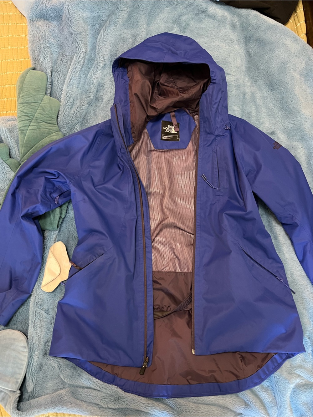 The North Face Ski Jacket